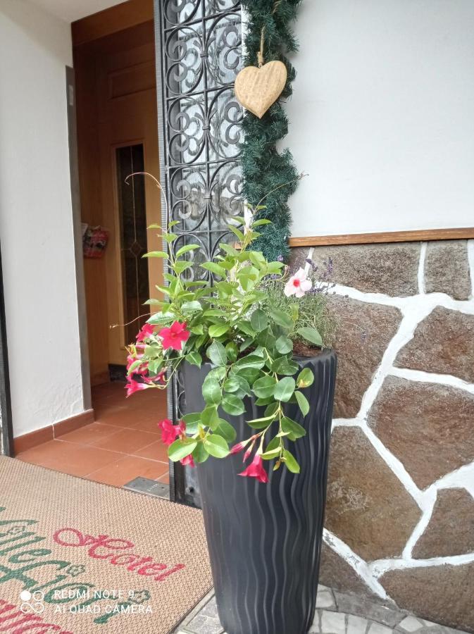 Hotel Millefiori Vigo di Fassa Εξωτερικό φωτογραφία