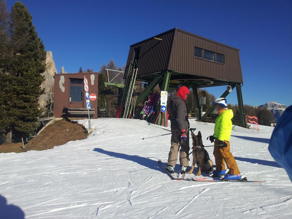 Hotel Millefiori Vigo di Fassa Εξωτερικό φωτογραφία